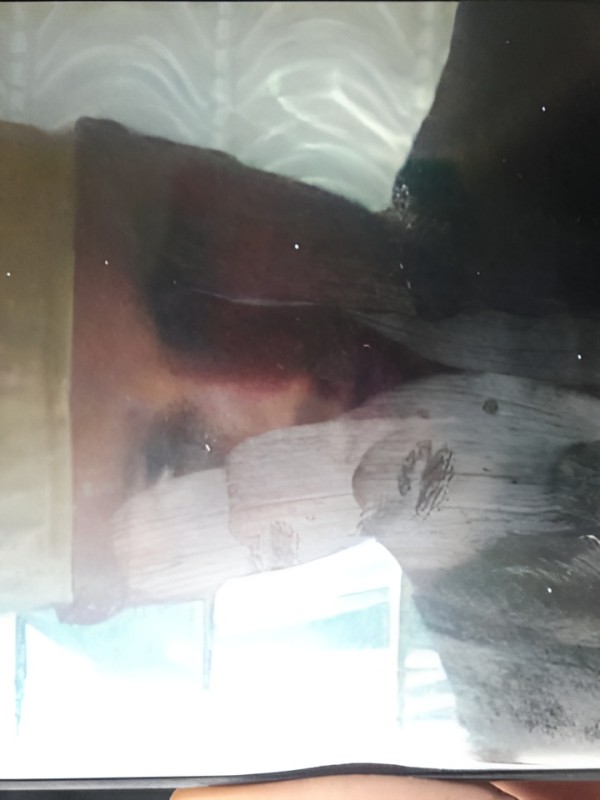 Тамара привлекательная девушка из Кирово-чепецка цена от 4000 руб